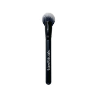 Cheek Fan Brush.png